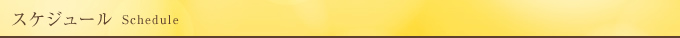 スケジュール